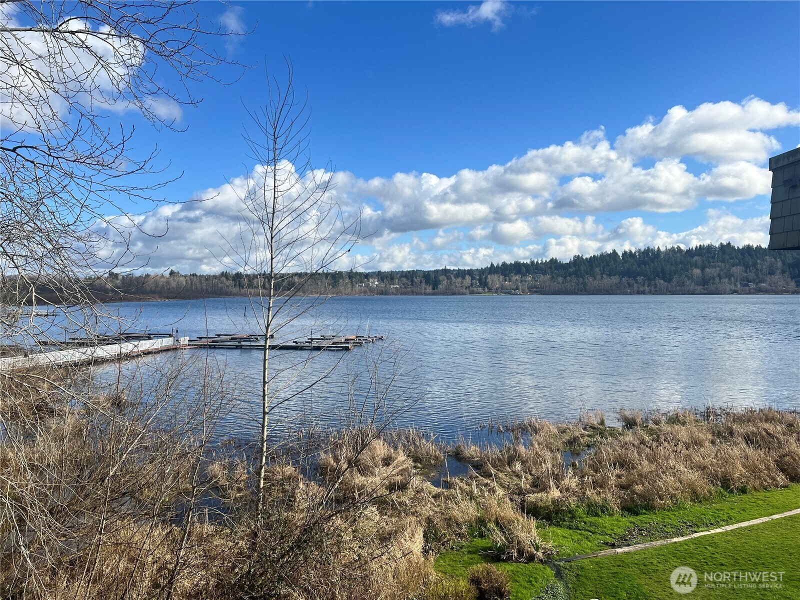 4214 W Lake Sammamish Parkway NE 310