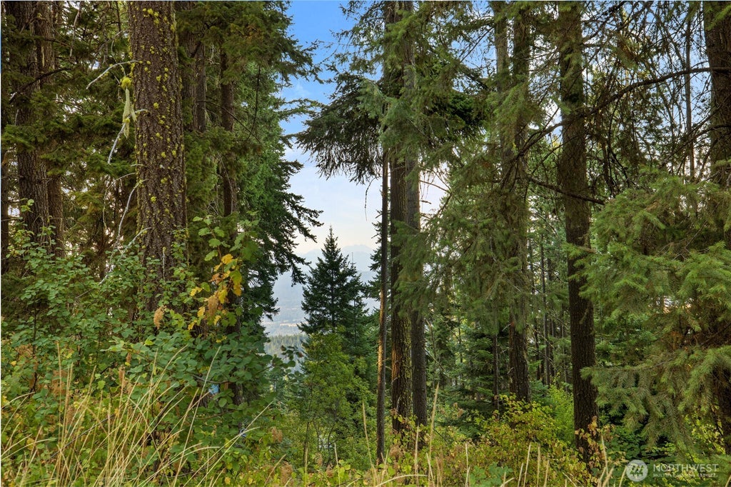 Photo of 76 Lot Horse Haven Road, Cle Elum, WA 98922 (MLS # 2575191)