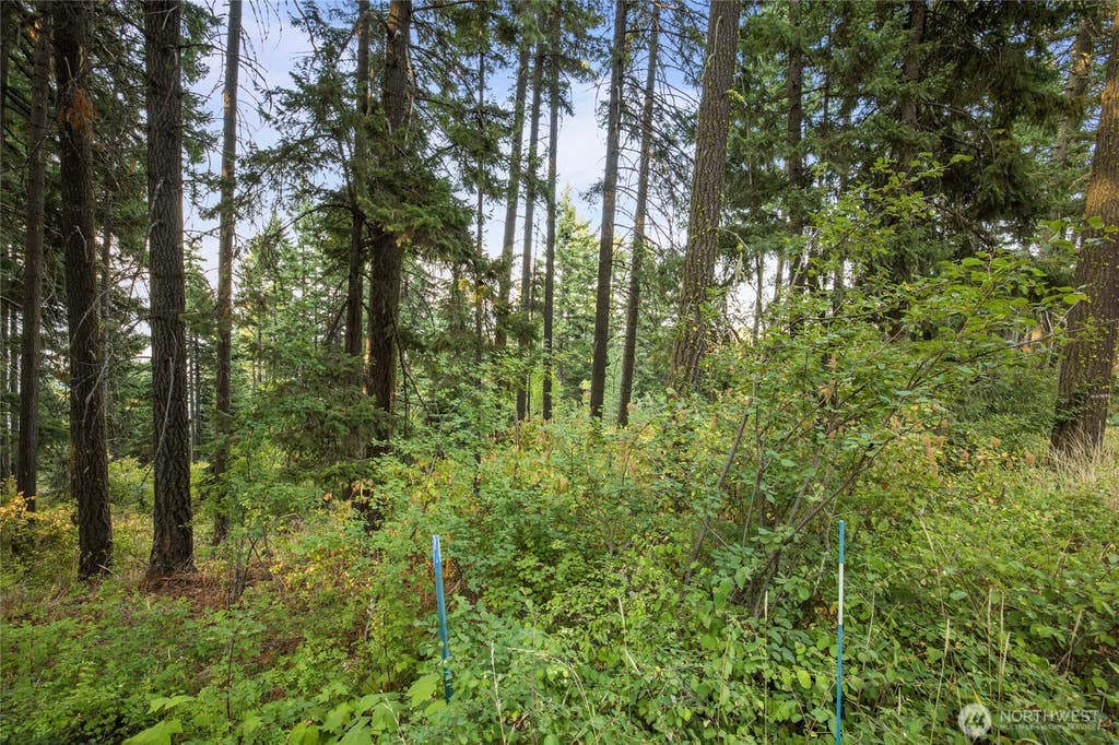 Photo of 76 Lot Horse Haven Road, Cle Elum, WA 98922 (MLS # 2575191)