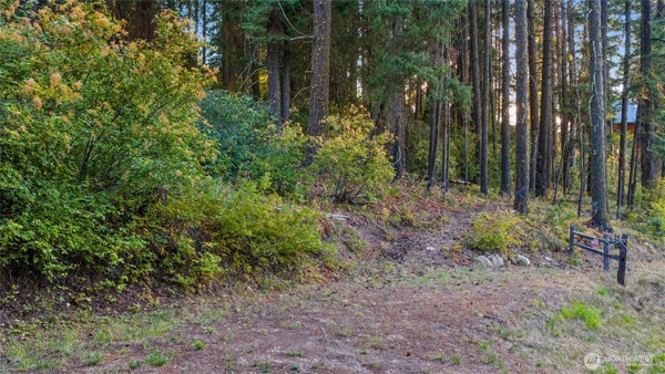 76 HORSE HEAVEN RD, CLE ELUM, WA 98922 - Image f8bd04bbbec7117d9157e90426b8a7e1/98781801