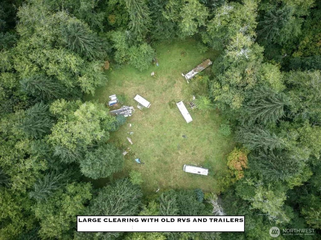 Photo of 1999 Dowan Creek Road, Forks, WA 98331 (MLS # 2486495)