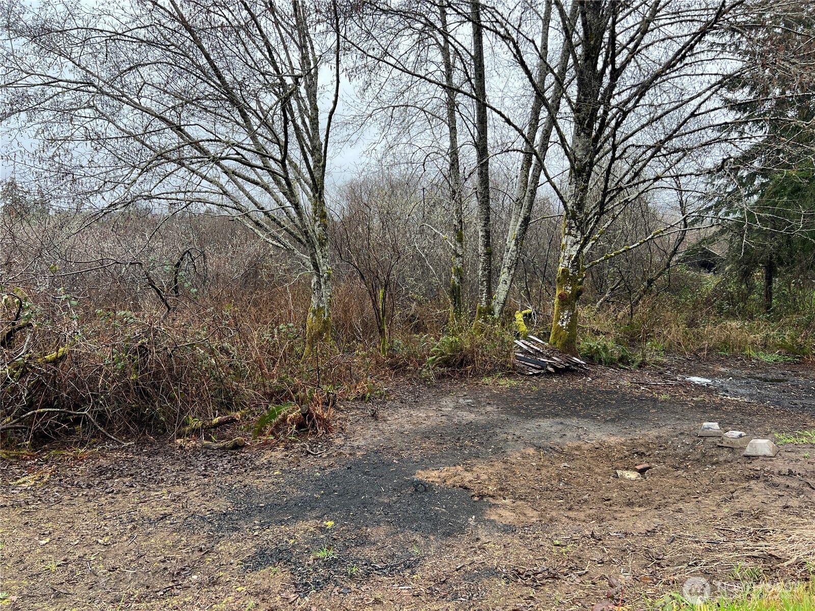 0 Willapa Road