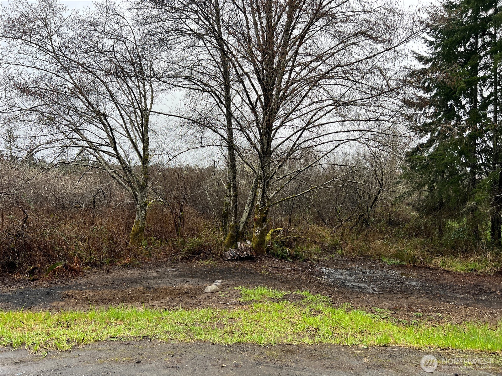0 Willapa Road
