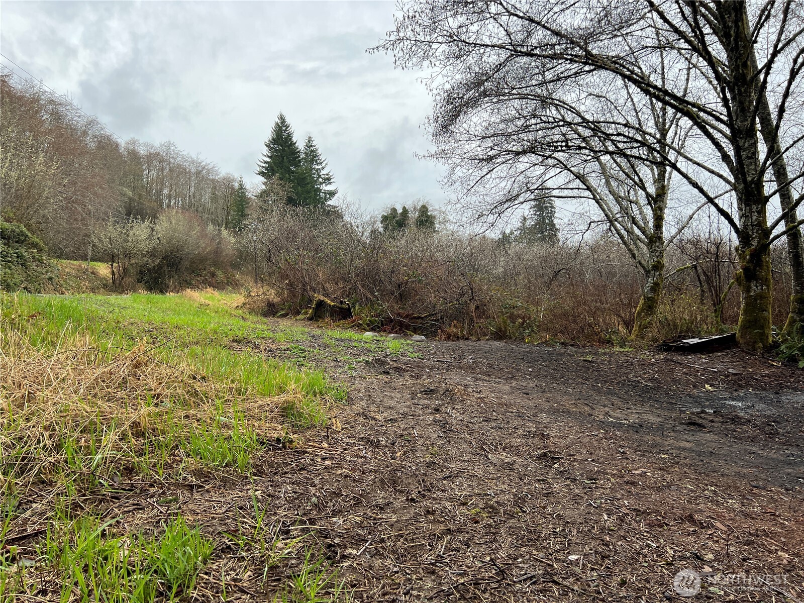 0 Willapa Road