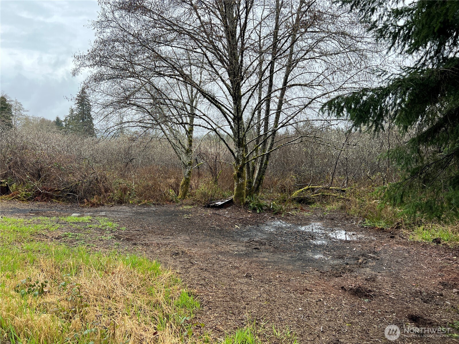 0 Willapa Road