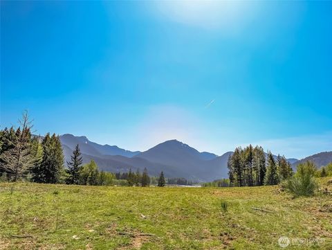 0 Craig Road Lot B2 Packwood WA 98361