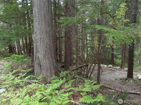 Photo of 0 Cascade River Road, Marblemount, WA 98263 (MLS # 2515132)