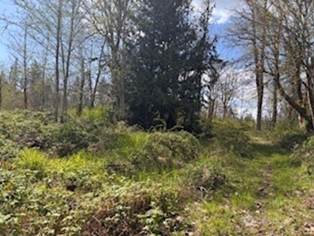 Photo of 10327 Fay Road, Carnation, WA 98014 (MLS # 2358685)