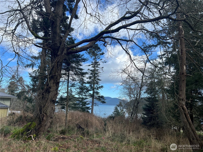 0 Davis Beach Road