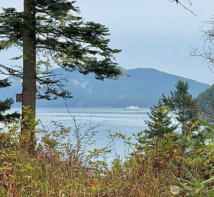 0 DAVIS BEACH ROAD, DECATUR ISLAND, WA 98221 - Image f90e1c9d39d956d07fcab1c823bc0b3a/1125619114