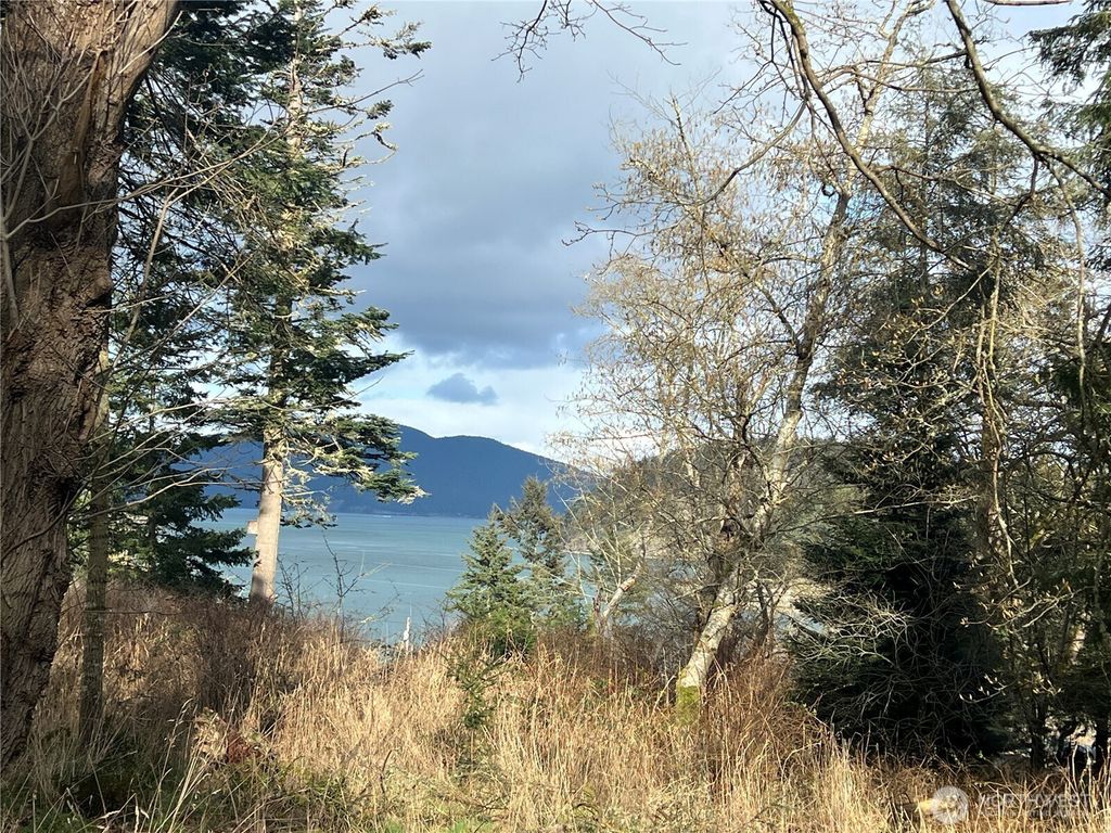 Photo of 0 Davis Beach Road, Decatur Island, WA 98221 (MLS # 2483241)