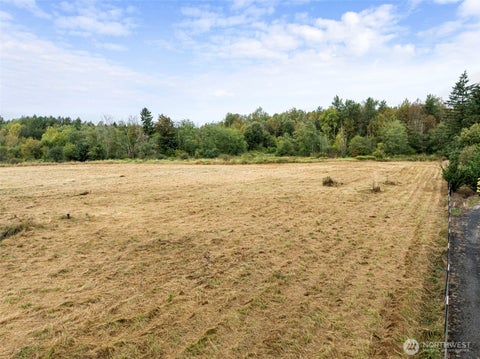 Photo of 235 Allison Road, Toledo, WA 98591 (MLS # 2576466)