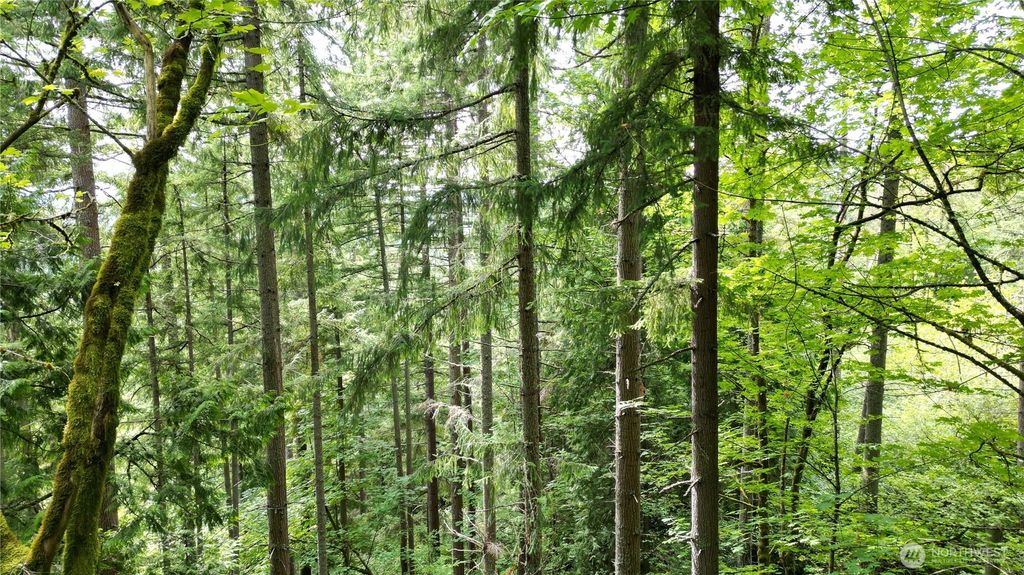 Photo of 116 xx 198th ave se, Issaquah, WA 98027 (MLS # 2494385)