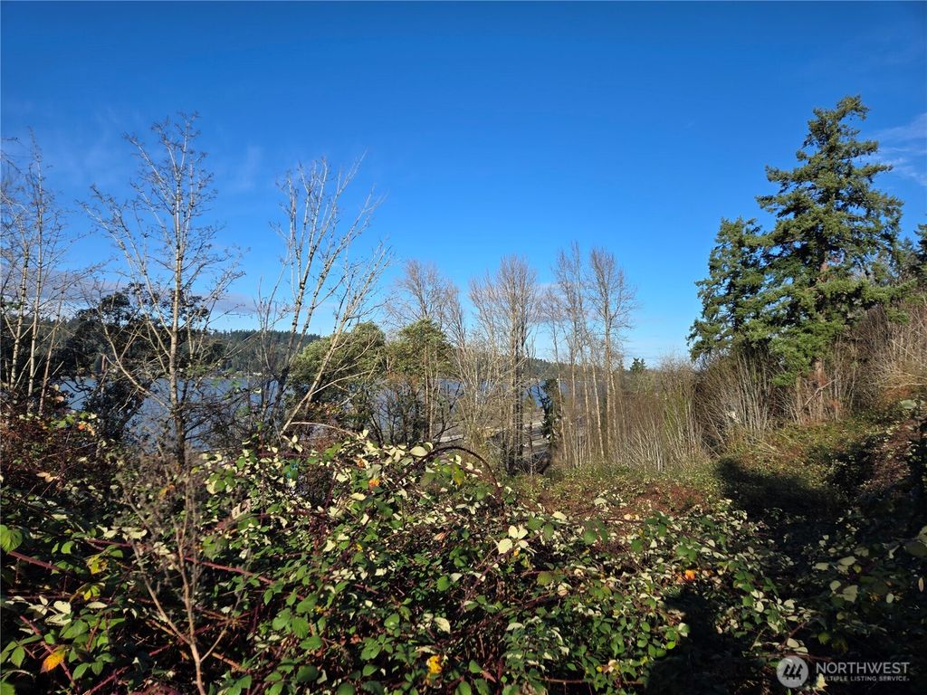 Photo of 2121 Creswell Rd Rd, Snohomish, WA 98290 (MLS # 2463918)