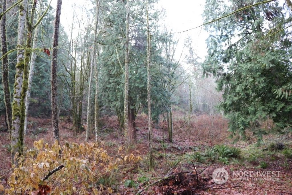 Photo of 18700 SE 64TH Way, Issaquah, WA 98027 (MLS # 2180628)