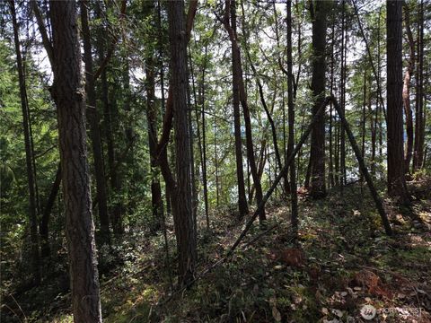 Photo of 22137 Clear Lake Boulevard SE, Yelm, WA 98597 (MLS # 2419531)