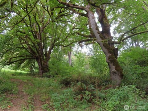Photo of 0 XXX Del Ray Road, Mossyrock, WA 98564 (MLS # 2560324)