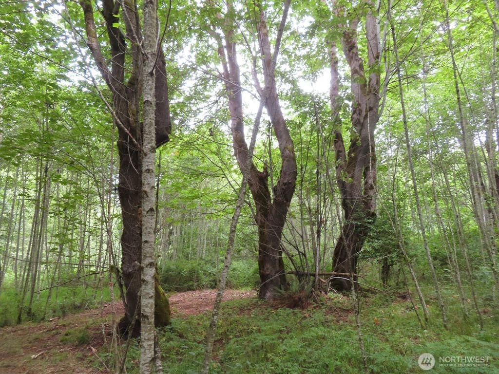Photo of 0 XXX Del Ray Road, Mossyrock, WA 98564 (MLS # 2560324)