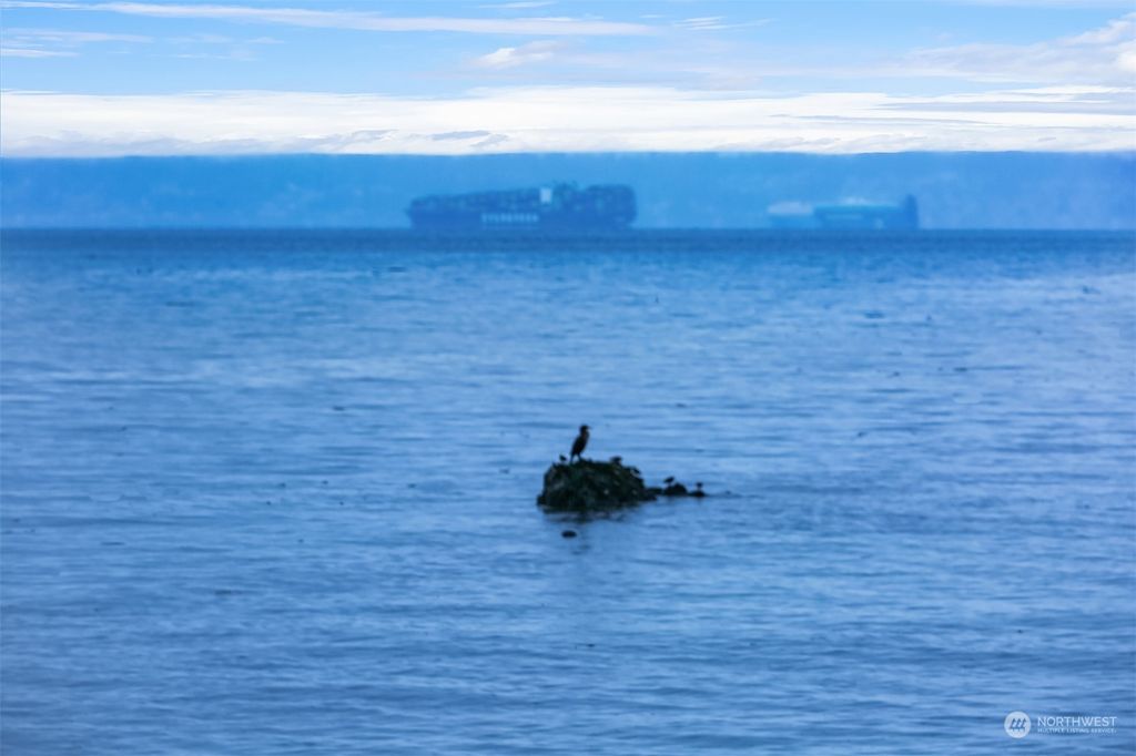 Photo of 3633 Beach Drive SW #102, Seattle, WA 98116 (MLS # 2206581)