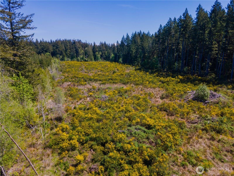 8600 Steamboat Island Road NW