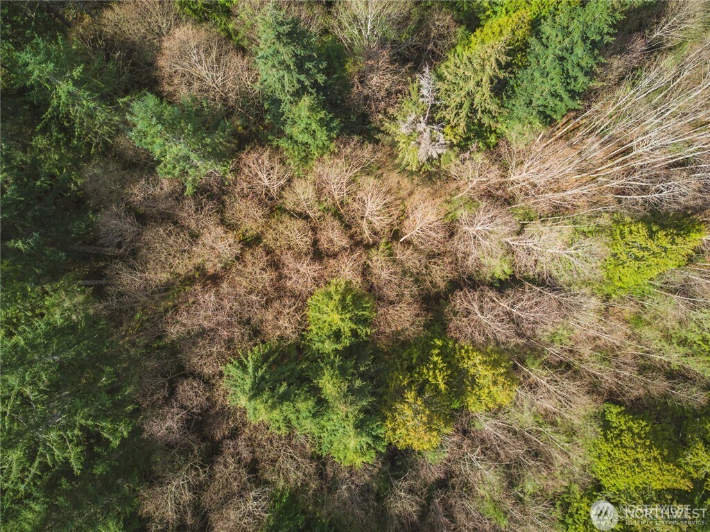 0 SW County Line Road
