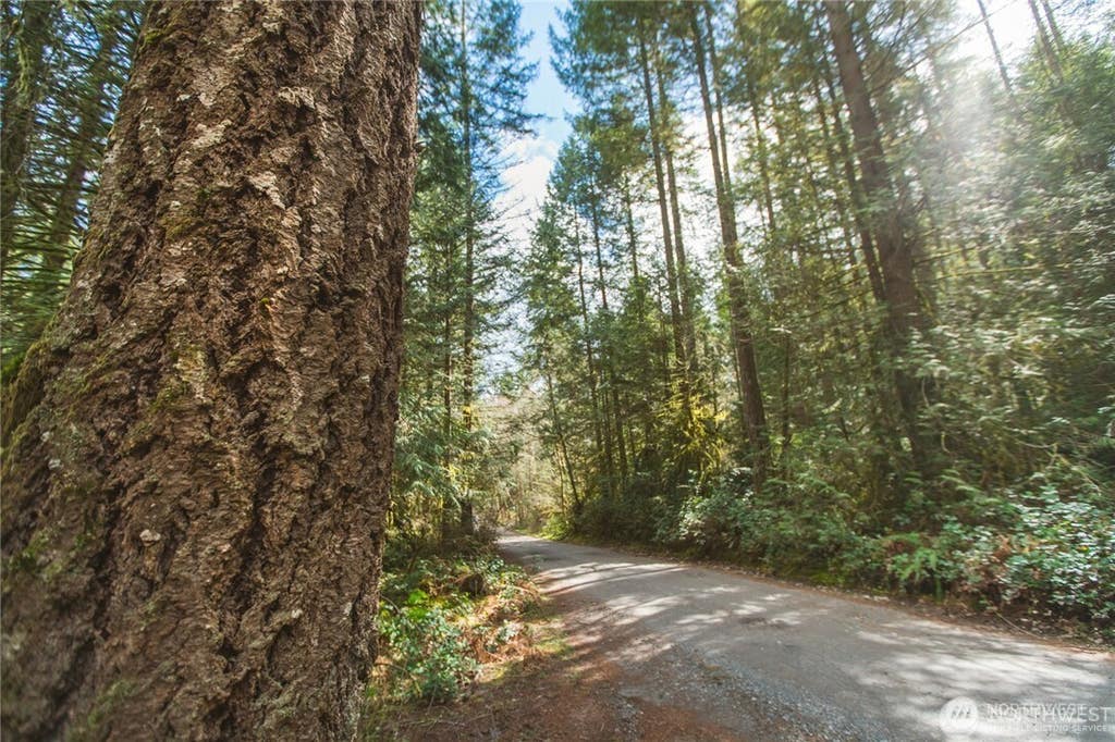 Photo of 0 SW County Line Road, Port Orchard, WA 98367 (MLS # 2556617)