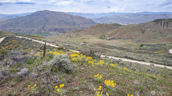 0 CHELAN HILLS ACRES TRACT, ORONDO, WA 98843 - Image f99c62bee9af64bef025f68b6edd3ffb/733813119