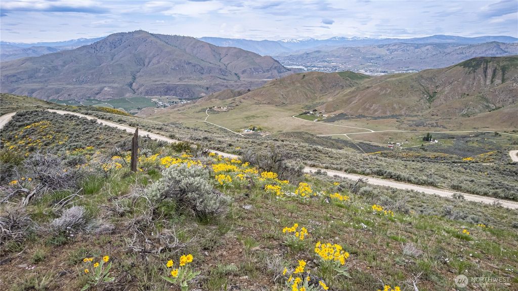 Photo of 0 Chelan Hills Acres Tract, Orondo, WA 98843 (MLS # 2511617)