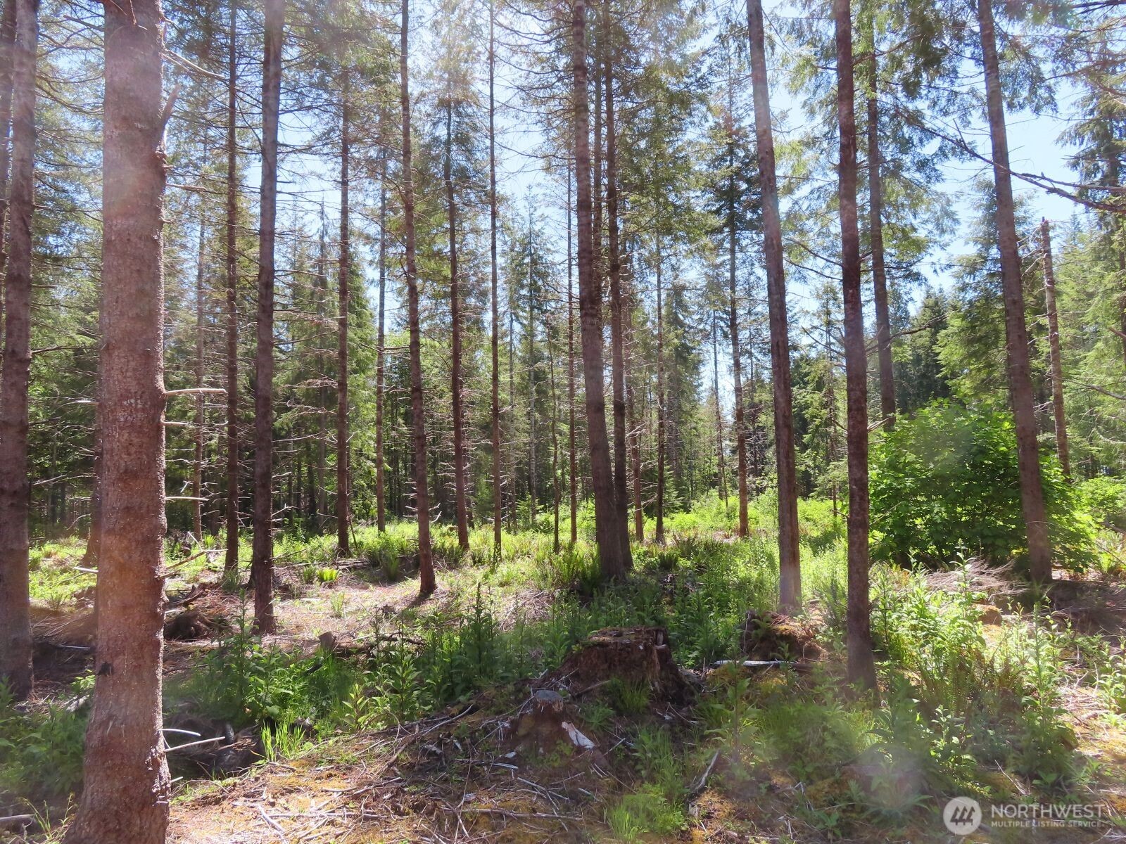 1515 Kirkpatrick Road