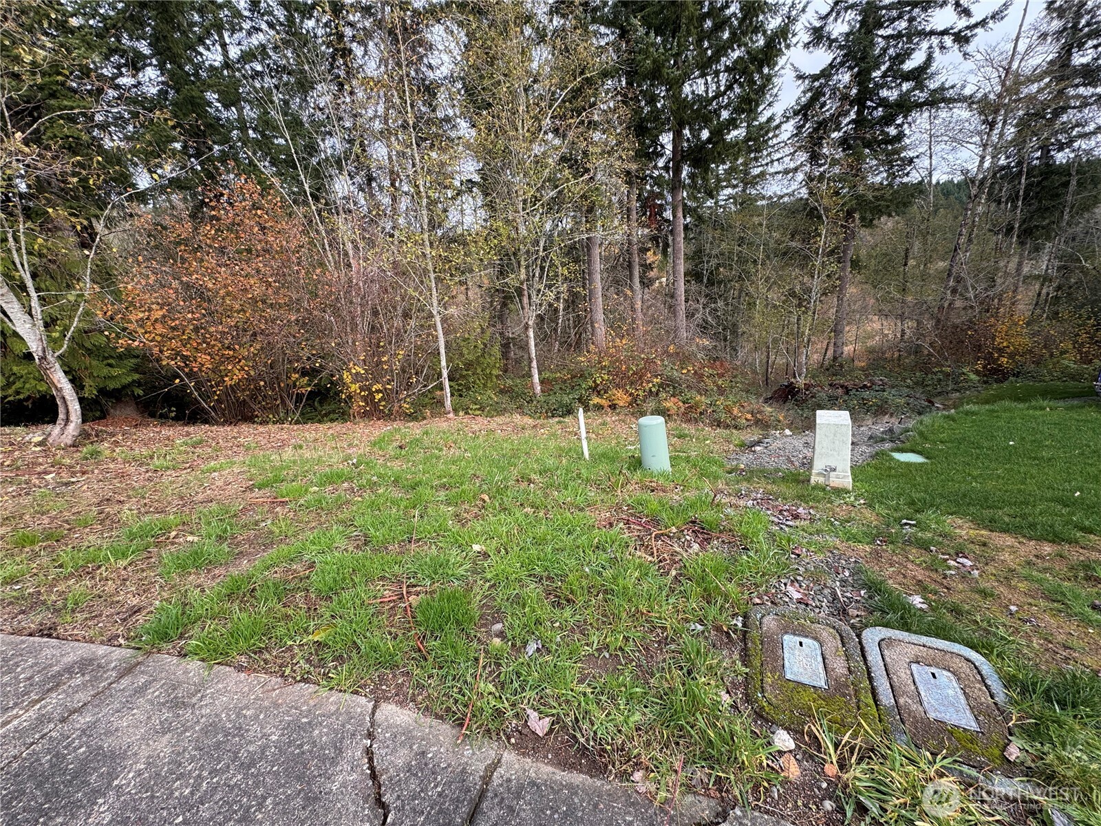 1618 Maple Valley Drive