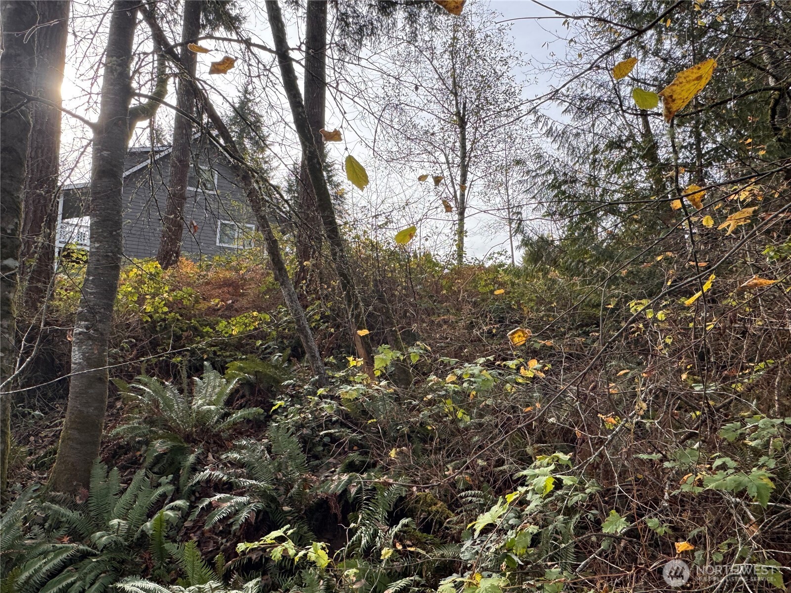 1618 Maple Valley Drive