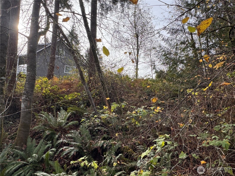 1618 Maple Valley Drive