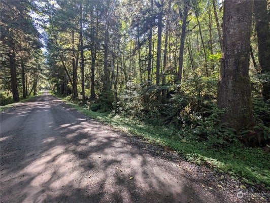 DOWANS CREEK RD, FORKS, WA 98331 - Image f9c2e9a3d2c709af9fa20e9fade02091/1701791661