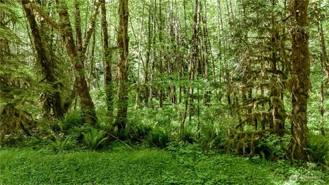 Photo of 99992 Dowans Creek Road, Forks, WA 98331 (MLS # 2302329) Photo of 99992 Dowans Creek Road, Forks, WA 98331 (MLS # 2302329)