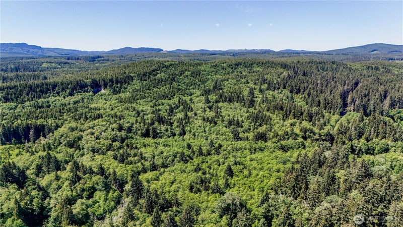 99992 Dowans Creek Road
