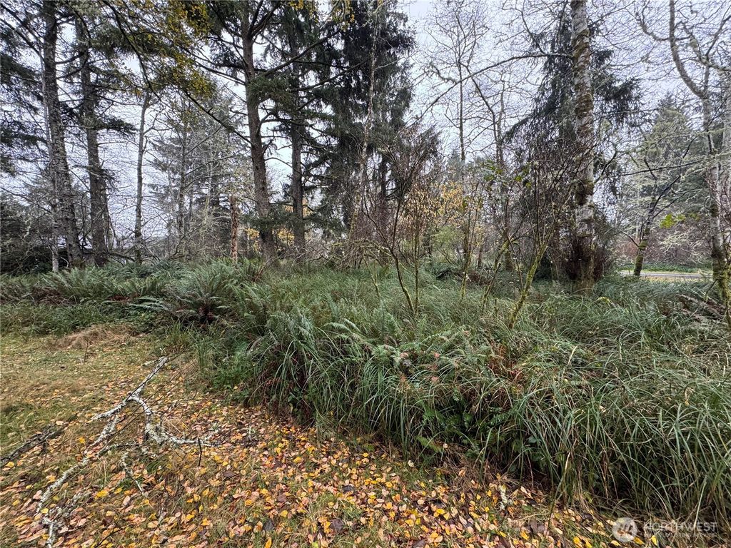 Photo of 764 Tern Court, Ocean Shores, WA 98569 (MLS # 2459890)