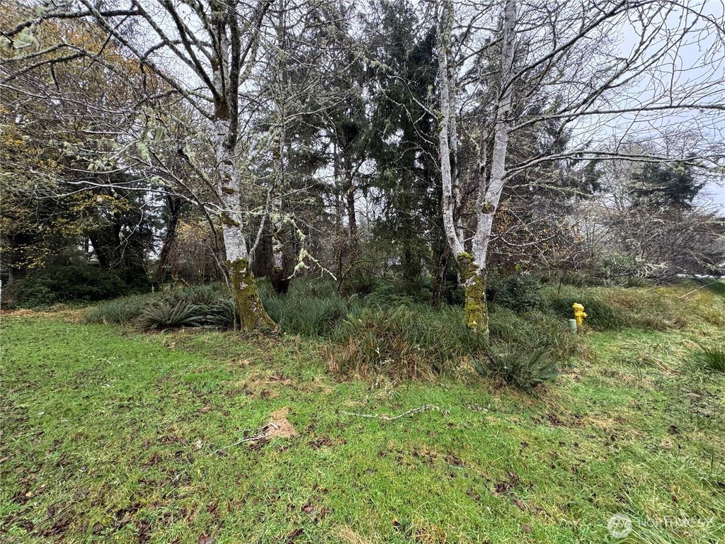 Photo of 764 Tern Court, Ocean Shores, WA 98569 (MLS # 2459890)