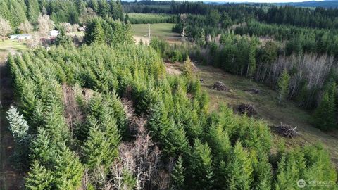 9605 Prather Road SW Rochester WA 98579