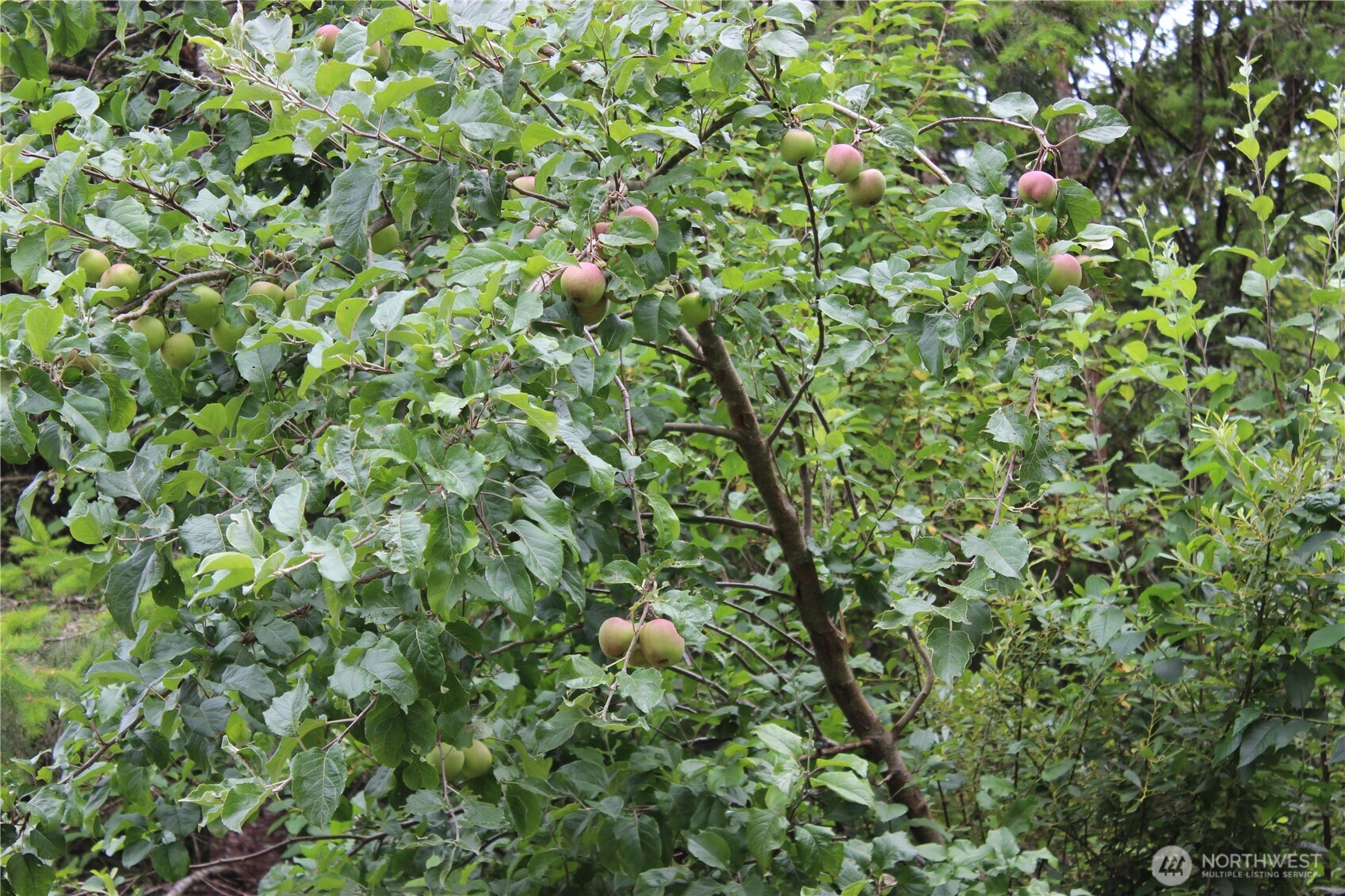 9605 Prather Road SW