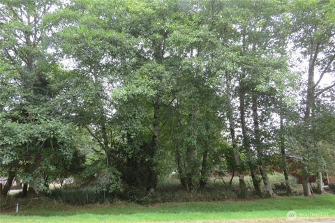 Photo of 796 Mount Olympus Avenue SE, Ocean Shores, WA 98569 (MLS # 2572926)