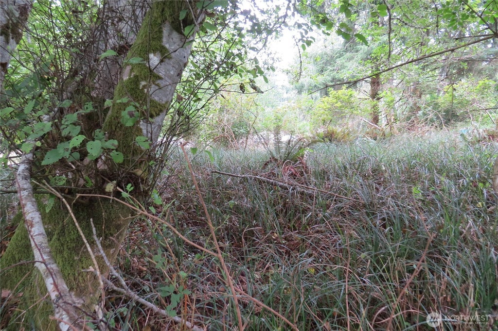 Photo of 796 Mount Olympus Avenue SE, Ocean Shores, WA 98569 (MLS # 2572926)