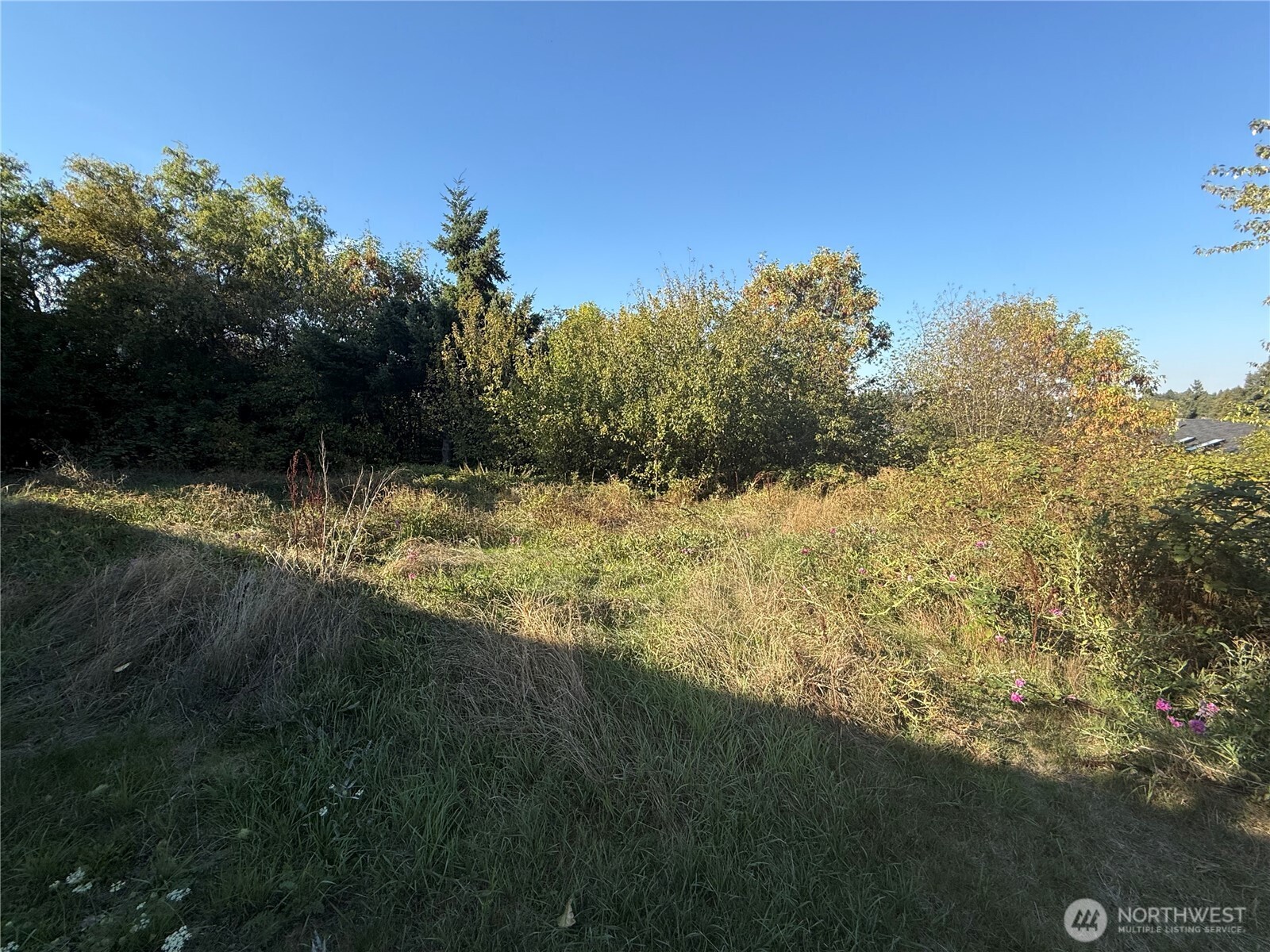 2928 S Bradford Street