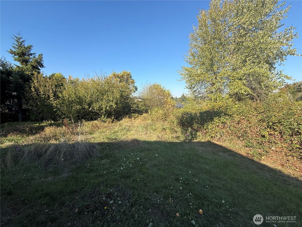 Photo of 2928 S Bradford Street, Seattle, WA 98108 (MLS # 2443087)