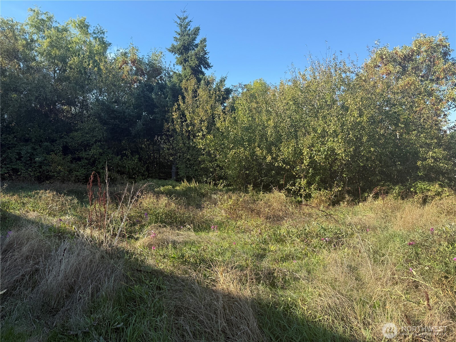 2928 S Bradford Street