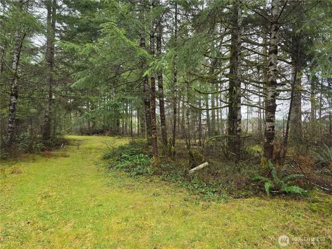 0 W Elk Hill Road Elma WA 98541