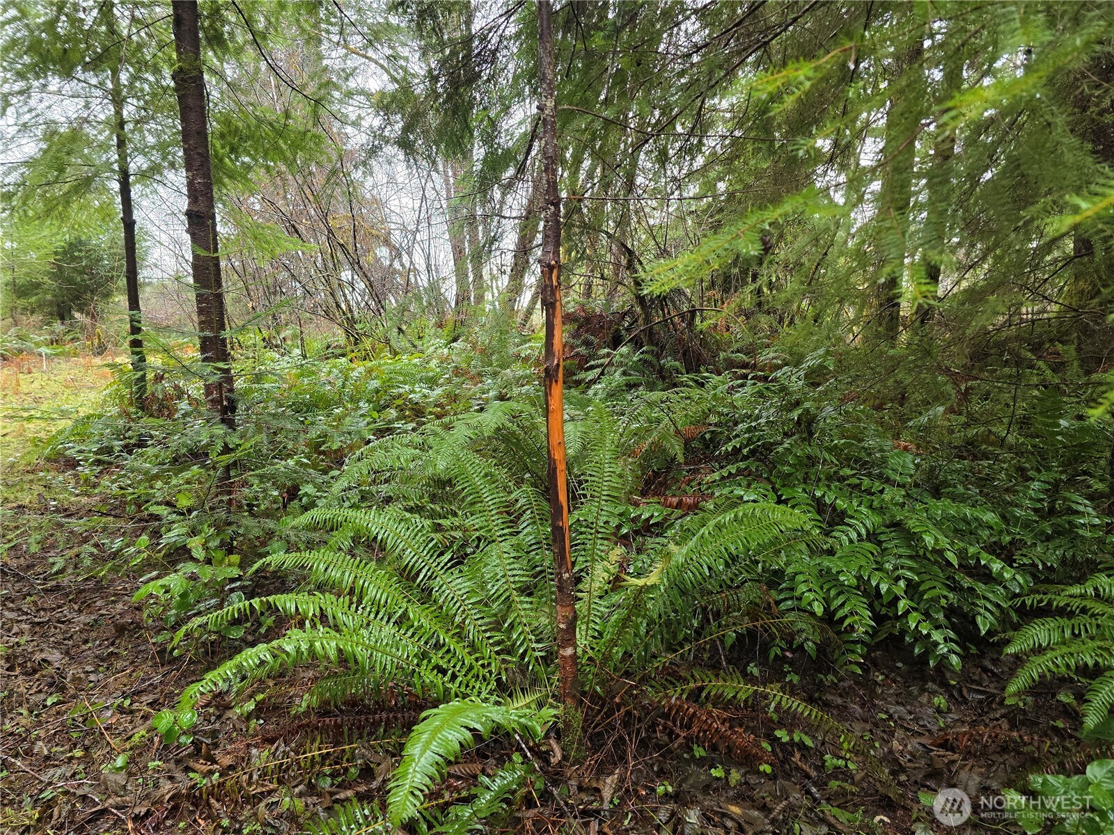 0 W Elk Hill Road