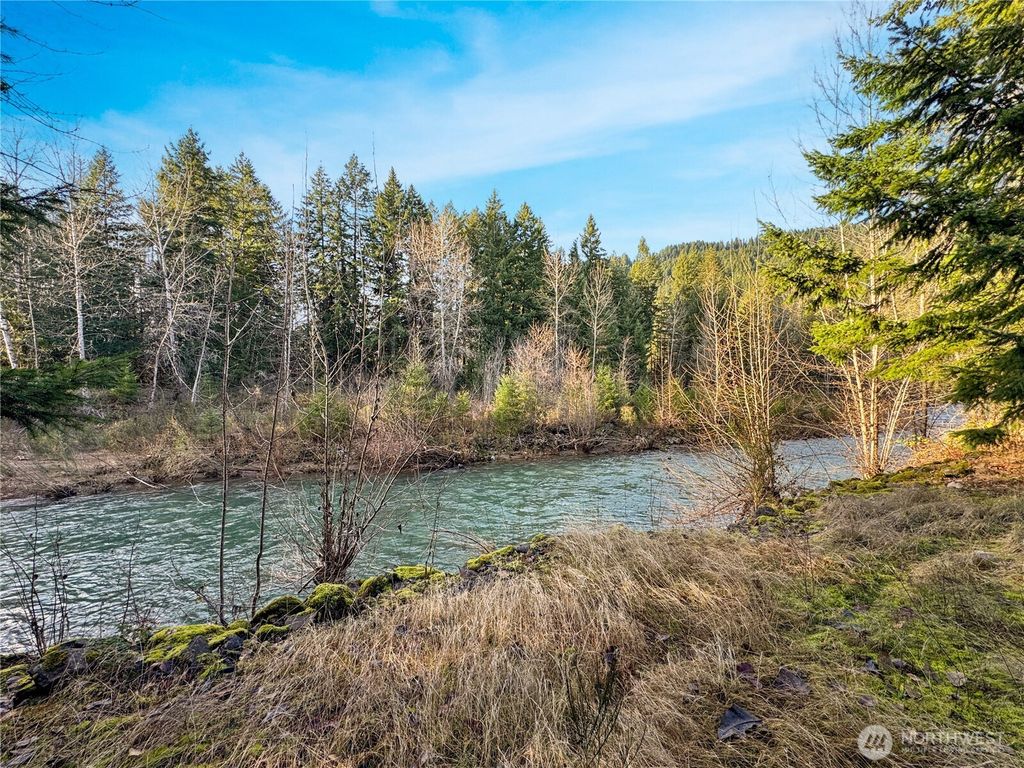 Photo of 115 1st Avenue, Randle, WA 98377 (MLS # 2463739)