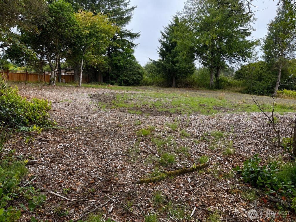 Photo of 549 Point Brown Avenue SW, Ocean Shores, WA 98569 (MLS # 2570427)