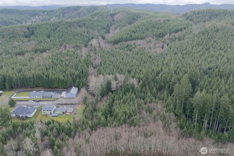 Photo of 921 Ocean Avenue, Cosmopolis, WA 98537 (MLS # 2489748)