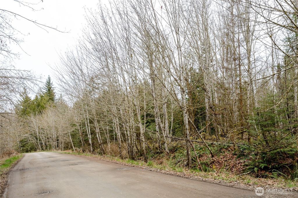 Photo of 9999 Runamuck Lane, Port Angeles, WA 98362 (MLS # 2501272)